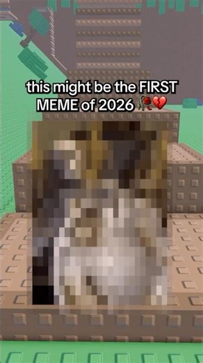 The FIRST MEME of 2026 !? 💔🥀