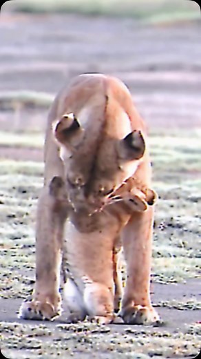 125K views · 7.8K reactions | Scorpio moms are the definition of...