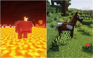 Striders vs Horses in Minecraft: How different are the two mobs?