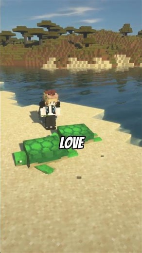 Fun Fact - 🐢Turtles 🐢 Minecraft #shorts