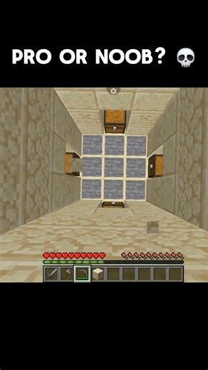 Pro or Noob? 💀