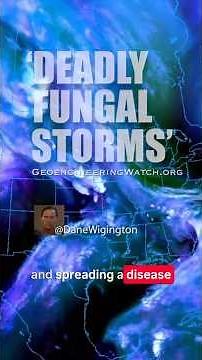 "Deadly Fungal Storms"