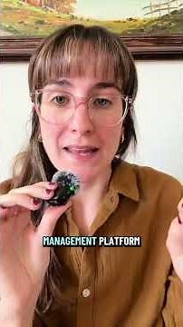 Smartsheet Engage 2025 Review!