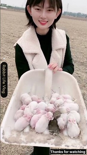 Small Rabbit Baby Being Cute! 😍🐰 #babyanimal #adorably #farming #adoreble #funny #cute