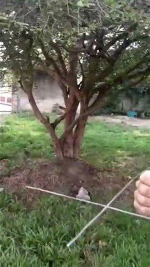 How to search for water with dowsing rods #wells #shotrs