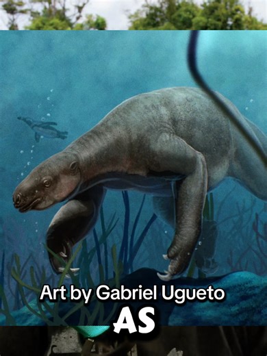 Sloths can hold their breath longer than dolphins, which might explain why some, like Thalassocnus, made the transition to the sea.