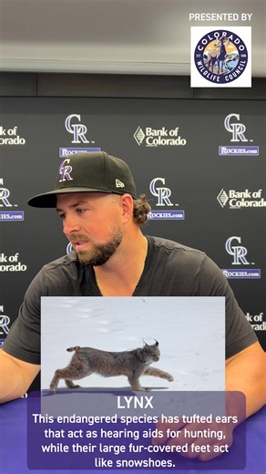 43K views · 333 reactions | Wildlife Trivia ‼️ Colorado is home to more than 960 wildlife species, with much of the funding for wildlife research supported by permits purchased for outdoor adventures. Learn more at cowildlifecouncil.org | Colorado Rockies | Facebook