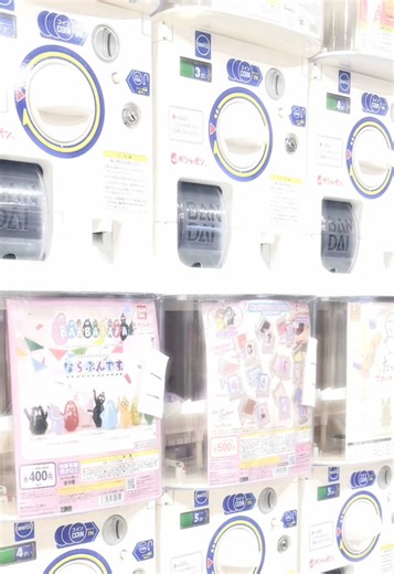 Reflecting on My Host Family in Japan