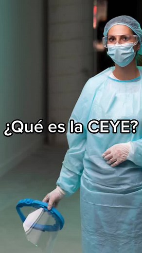 ¿Qué es la CEYE? - Áreas, Funciones y Procedimientos