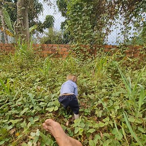 Abu searches for locusts in the locust garden. | Mr Abu