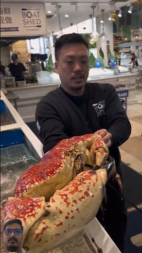 Just Look at the Size of This Monster Tasmanian Crab! 🦀😱