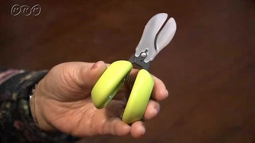 ユニバーサルデザイン | NHK for School