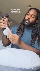 94K views · 5.1K reactions | Introducing Big Bear Check out our cat inspired merch at abdulscats | Fostering kittens | Facebook