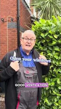 More info about Laurels #plants #gardening #hedge #gardens #gardenhacks