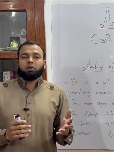 Anatomy of the Human Urinary System: Structure, Organs, and Their functions #pharmaceutics#humanbody