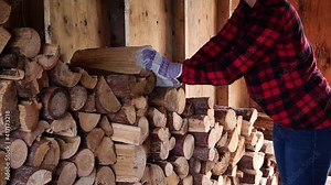 Woman stacking logs in a wood shed