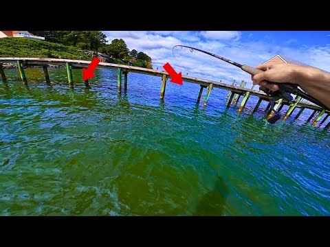 INCREDIBLE Multi Species Fall Fishing! Tips on Retrieving Large Fish From HEAVY Structure!