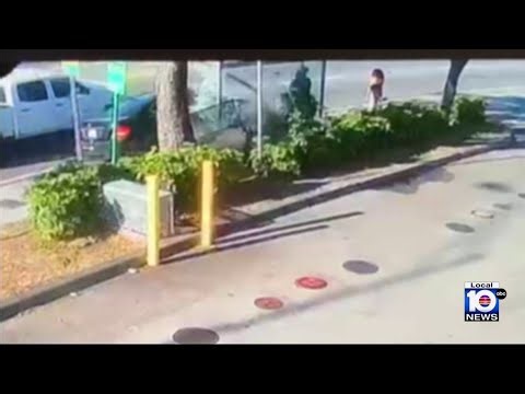 Local 10 News first: Video offers clues on fatal hit-and-run crash in Miami