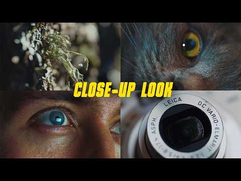 A Filmmaker’s Take on Macro Lenses for Micro Four Thirds