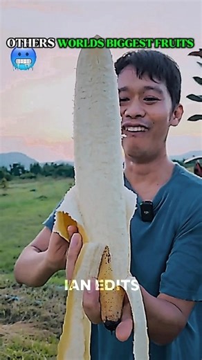 You won’t believe these HUGE fruits! Watch till the end 🍉🤯 #BiggestFruits #GiantFood #Worldwide