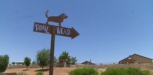 Hike-A-Thon Series Returns