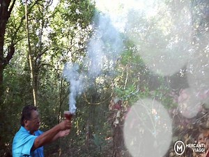 Benvenuti a Coba Avventura nella Giungla, il tour più classico della nostra Agenzia di Escursioni! Scoprirai il mondo delle popolazioni Maya vicino a Coba, per condividere dei momenti preziosi e imparare sui loro usi e costumi presso Laguna Chabela, dalla famiglia Cahum. Si tratta di un'escursione molto divertente con attività di avventura, facciamo un giro in bici nel sito di Coba, scaliamo la piramide Nohoch Muul, nel pomeriggio canoa e discesa con la carrucola! Il Cenote Mul Tun Ha ha l'acqua