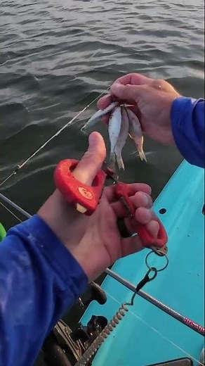 How to Turn Small Baits into a Big Bait