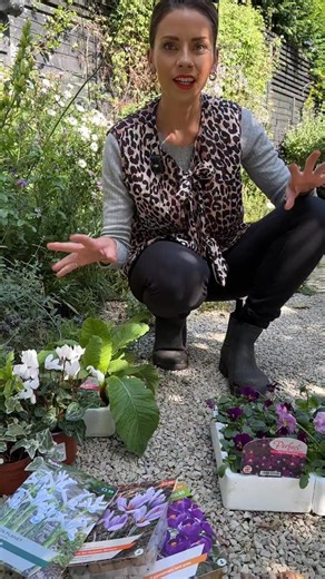 13K views · 88 reactions | Create an EASY Autumn pot to last forever…...