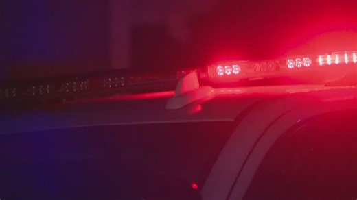 Driver charged with DWI after crash that killed pedestrian in Dallas, police say