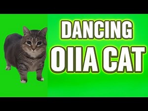 OIIA OIIA SPINNING CAT MEME REMIX!