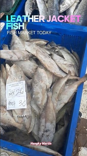 Unboxing Leather Jacket Fish: Facts You Didn't Know About This Unique Fish!