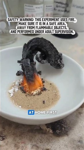 Science Experiment The Black Fire Snake!