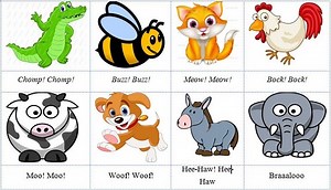 101  Tên Các Con Vật Bằng Tiếng Anh Để Dạy Con Tốt Nhất