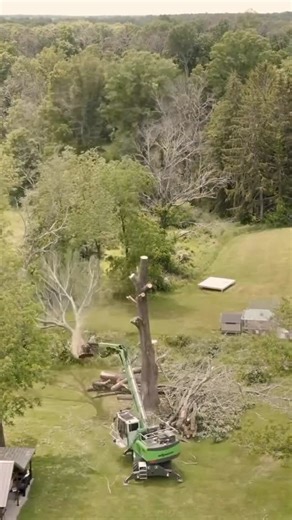 Sennebogen Tree Care Division on Instagram: "Land clearing with the Sennebogen 718! #sennebogenoperator #sennebogen718 #treework #heavyequipment #treeremoval #treeservice #equipment"