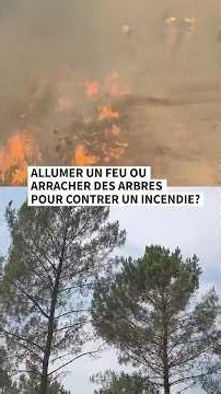 Allumer un feu ou arracher des arbres pour contrer un incendie ?