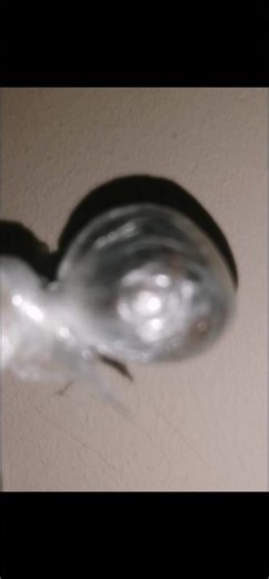 🥦🥦👌👌👌How to Make Hash from Weed At Home in 3 Simple Steps The Nederlands #weedchannel #viral #tricks