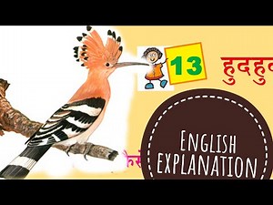 HudHud |ENGLISH EXPLANATION | हुदहुद | Class 4 Chapter 13