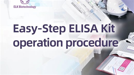 ELK Biotechnology丨Easy-Step ELISA Kit operation procedure