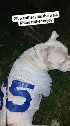 Pitlife let em enjoy 😉 | Bray Christopher