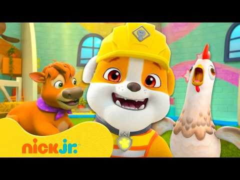 Rubble & Crew | Grandes construcciones y diversión animal con Rubble🐮 | 1 hora | Nick Jr. en Español