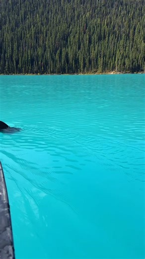 56K views · 421 reactions | Canada is so magical | Best Destinations To Travel | Facebook