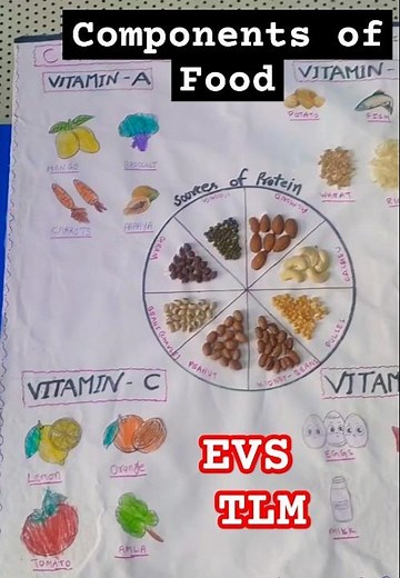 Components of food TLM | Nutrients Chart | EVS Project #evsproject #evstlm #evs #food #health #diet