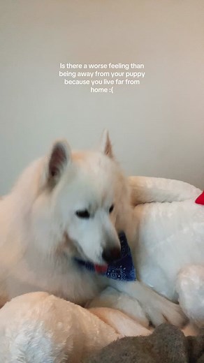 I found this in my drafts and it makes me sad