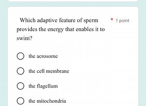 Which adaptive feature of sperm provides the energy that enable... | Filo