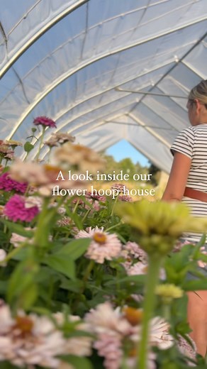 15 reactions · 8 comments | Why we grew these flowers in the hoop...