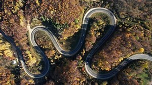 Winding Road Through Forest Beautiful Autumn Stock Footage Video (100% Royalty-free) 1097252455 | Shutterstock