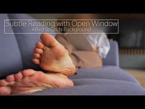 Book by the Window ASMR