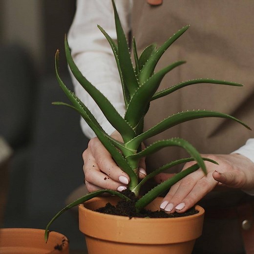 236K views · 828 reactions | Switching 5 of your most used lights in the house to LED bulbs will save $75 in electricity every year! Here are 7 ways to make your home more eco-friendly.  | Goodful | Facebook