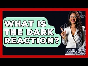 What Is The Dark Reaction? - Science Through Time