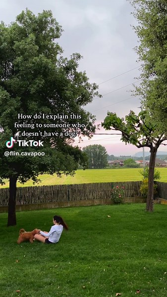 Best feeling, pure love💕 #cavapoo #cavapoopuppy #dogsoftiktok #dogtok #fyp #loveyou #feelings